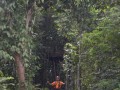 Tn DSC 4327